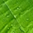 ICONS ID:567203 figleafforum.com